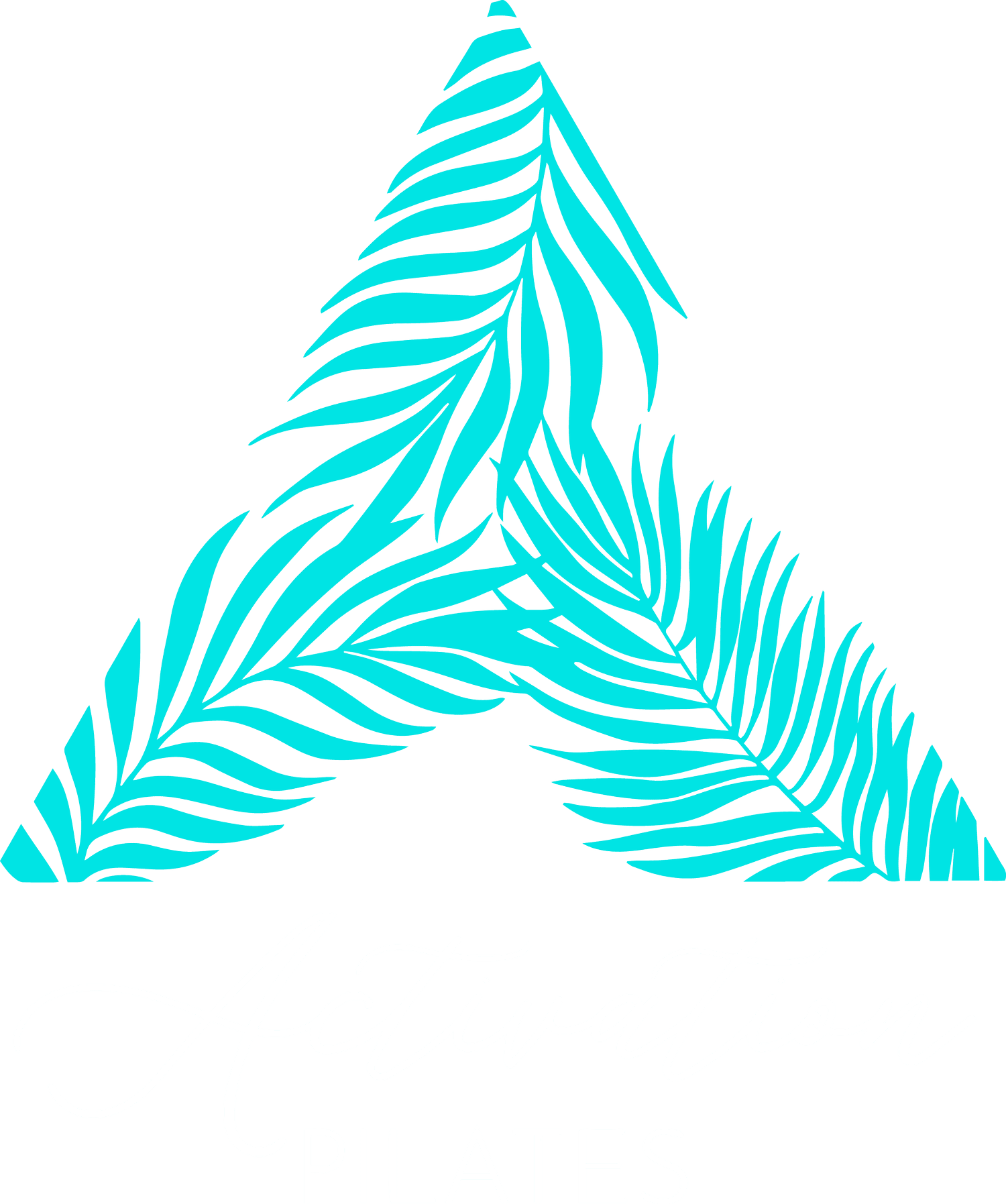 Activation Pilates Singapore