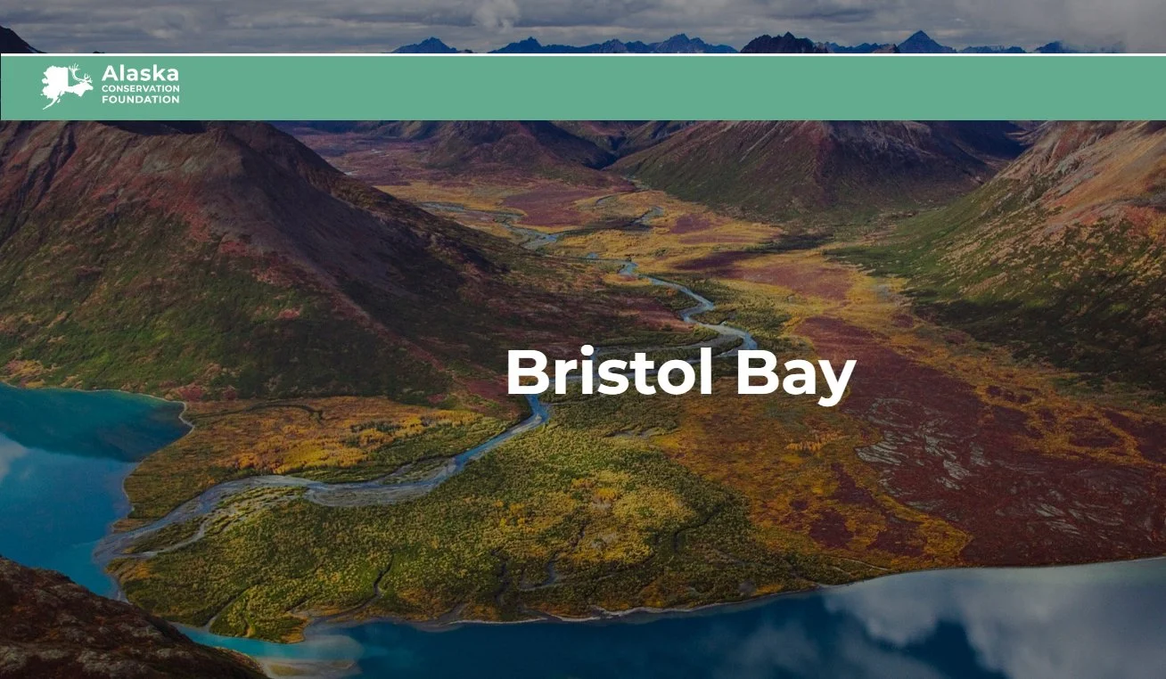 An areal view of a mountainous coastline
