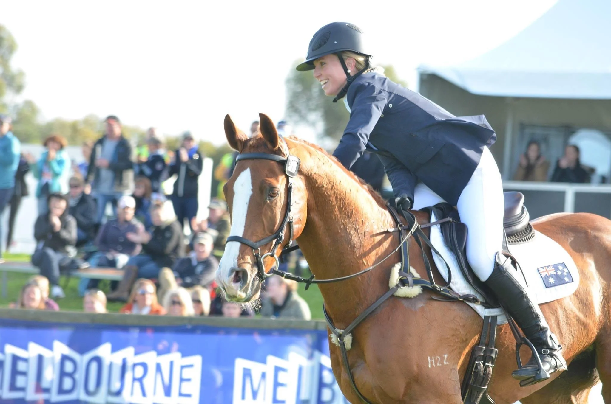 GG.Equestrian.Copywriting.Max Almighty.Melbourne International.3DE