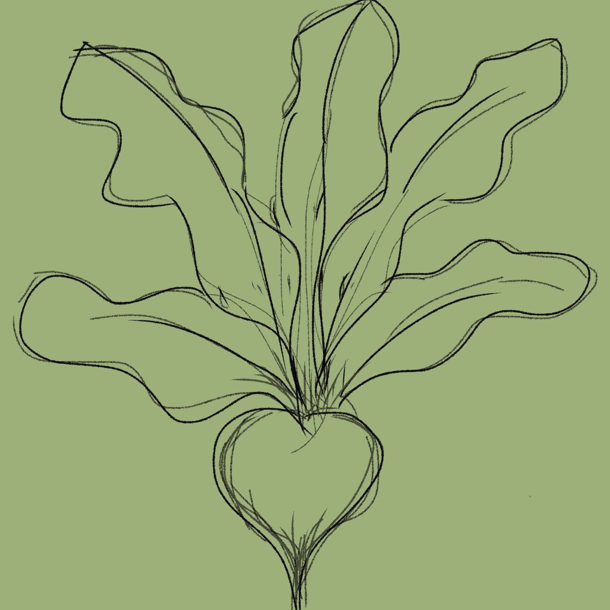 Untitled_Artwork 5.jpg