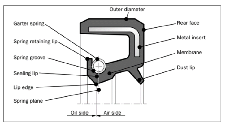 Oil Seal-Radialwellendichtungen (RWDR) — CV Technik Seal | Oil Seals ...