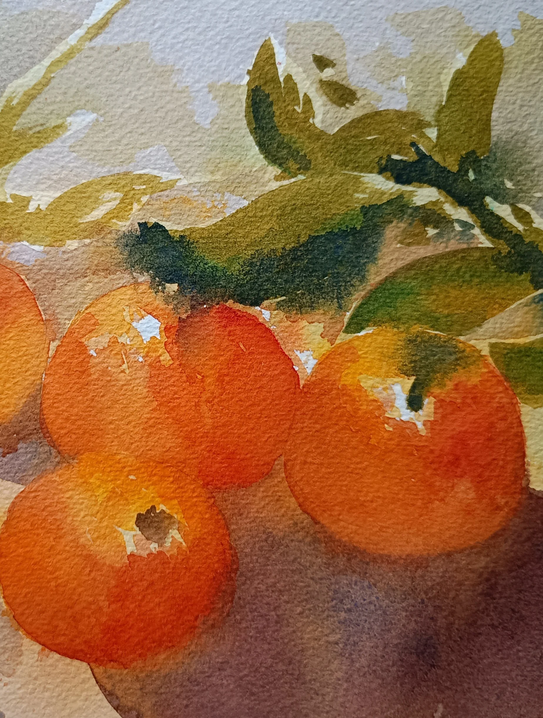 Oranges. Watercolour