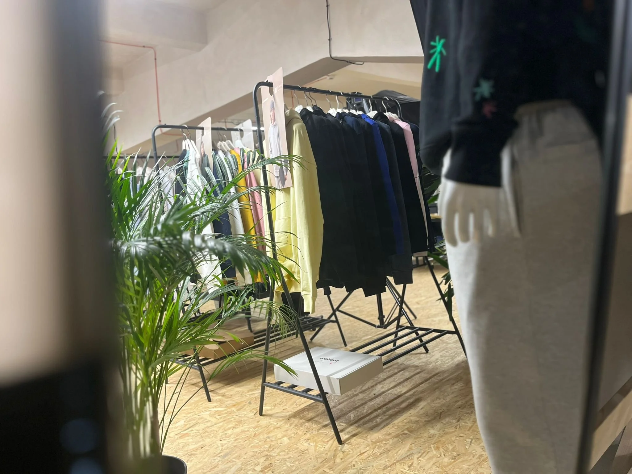 WhatsApp Image 2025-05-08 at 10.10.50.jpeg