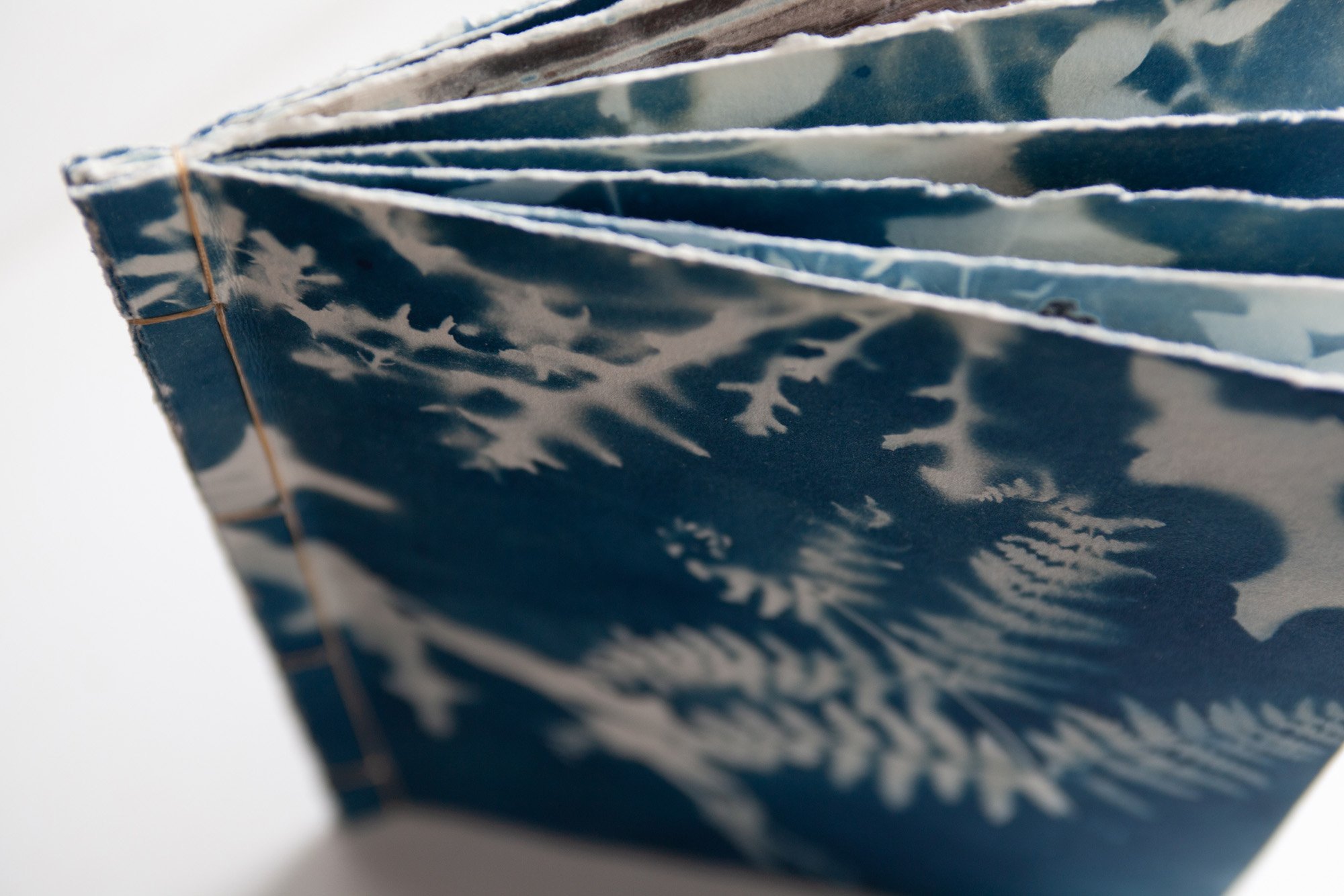 Handmade book "We Made a Weed Book in the Rain"