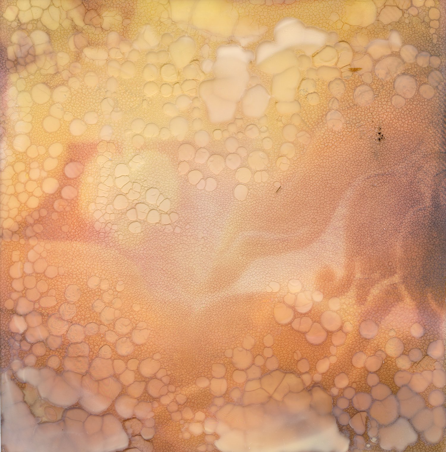 An image of 18th century silk wallpaper, shot on Polaroid i-Type film and left to soak in water and bleach for a number of weeks.