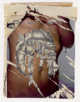 Fuji Instax self-portraits destroyed and overlaid onto medical drawings