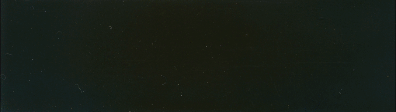 Animation of a Polaroid image decaying, over a period of months