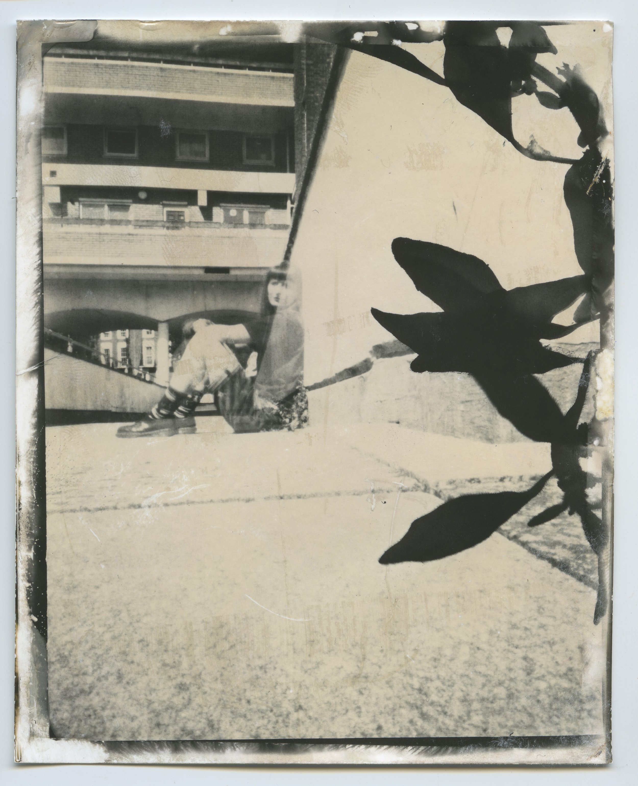 Pinhole self portrait with plants inside the camera