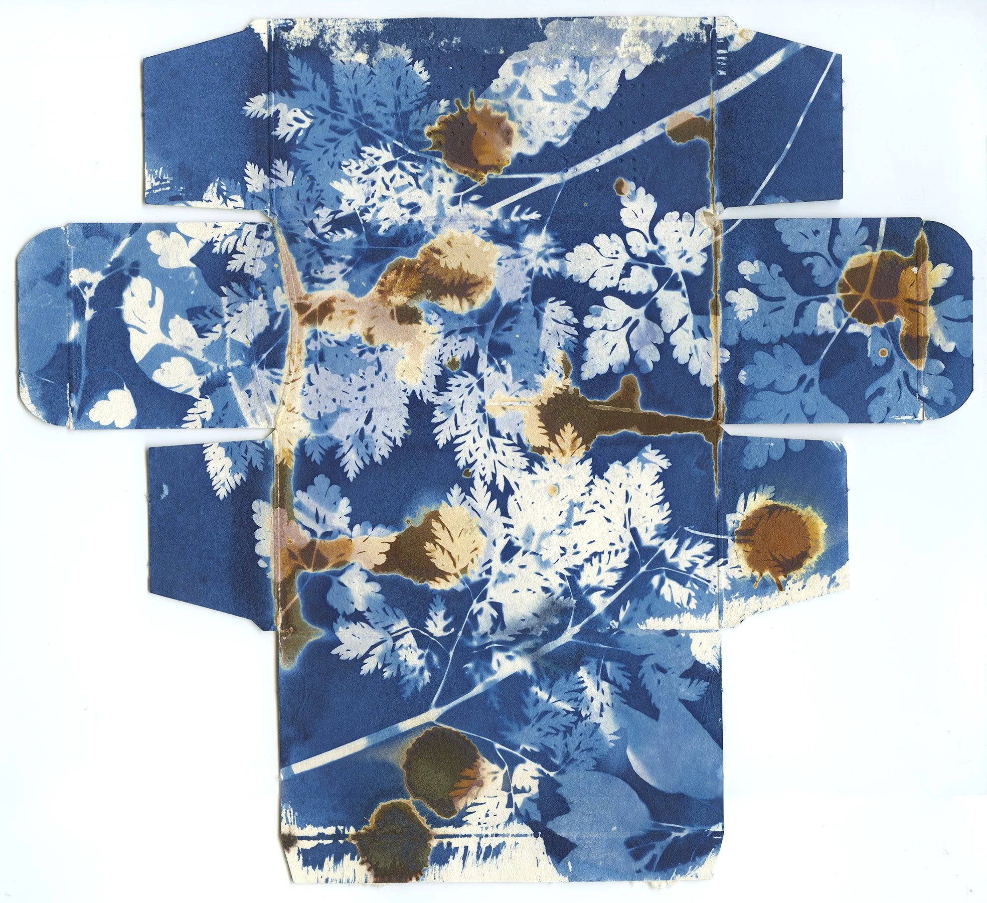 cyanotype calpol box.jpeg