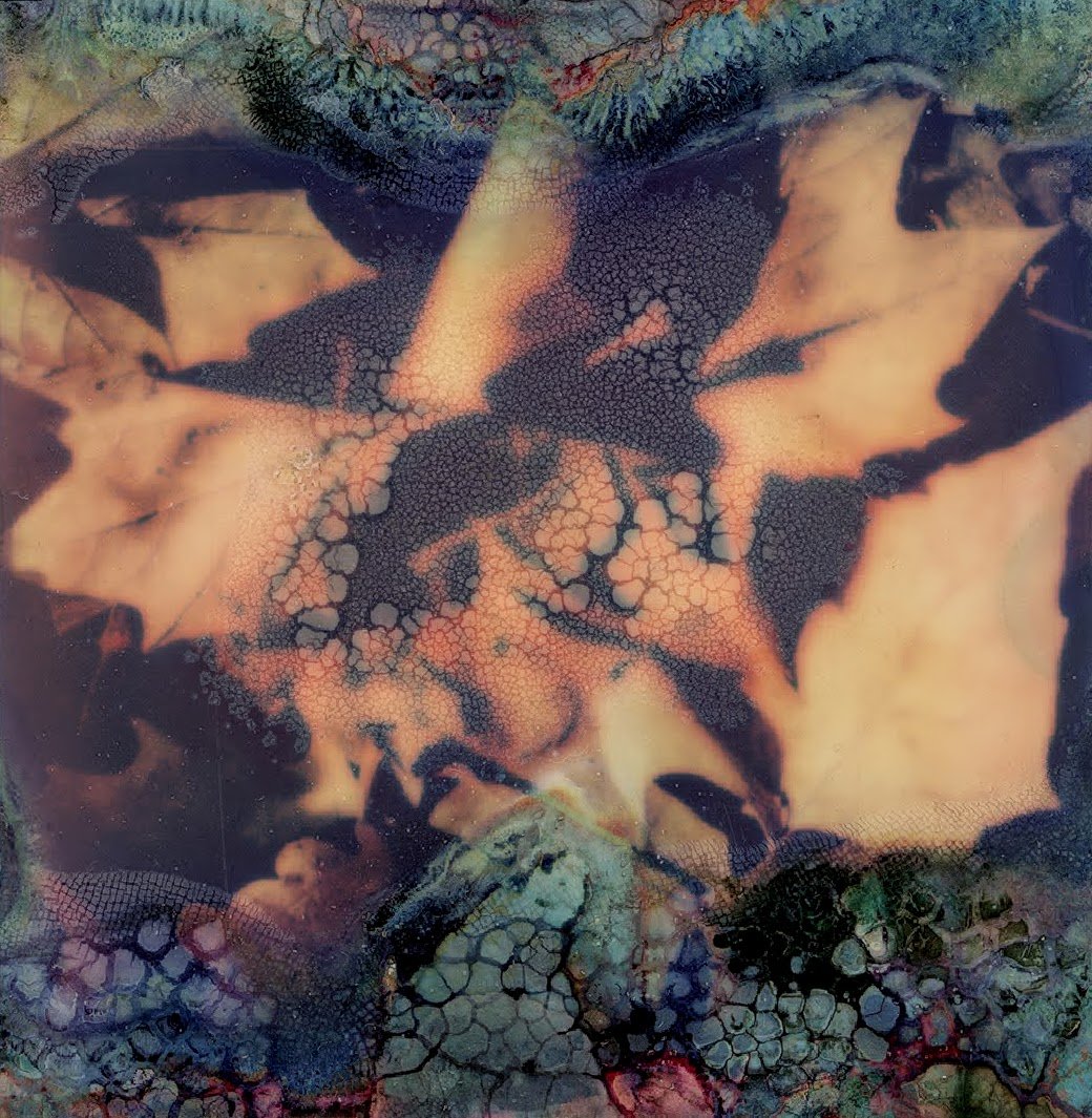 An image of autumn leaves, shot on Polaroid i-Type film and left to soak in water and bleach for a number of weeks.