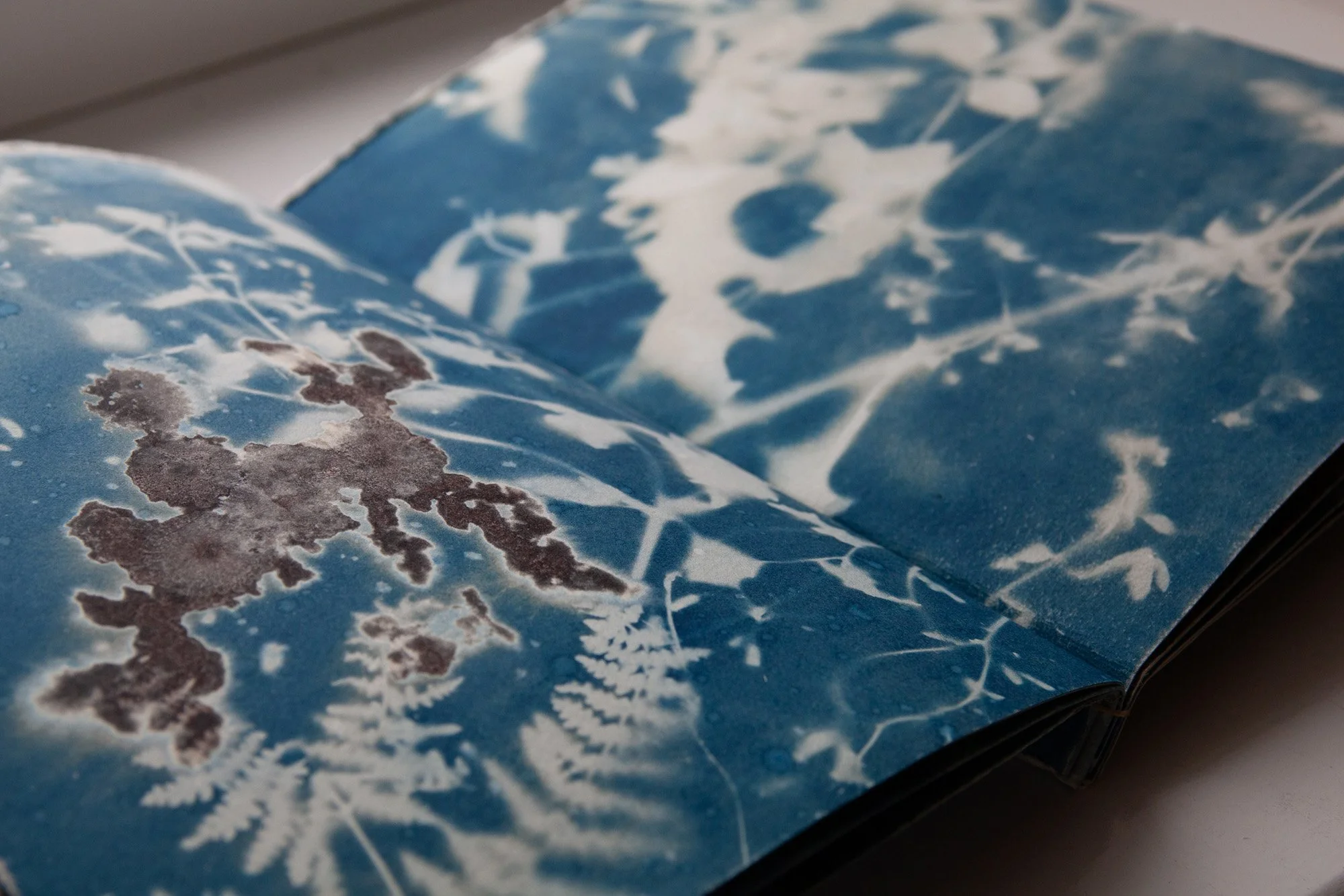 Handmade book "We Made a Weed Book in the Rain"