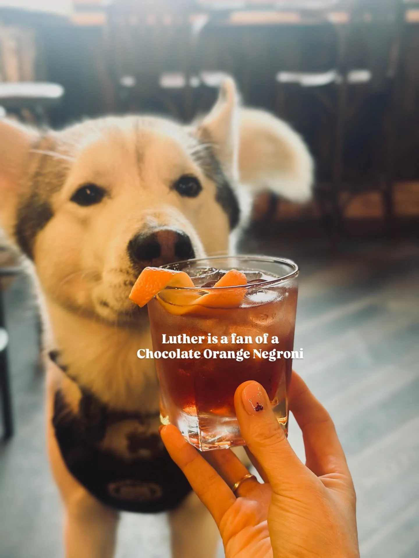 ❤️ VALENTINE&rsquo;S WEEKEND AT REUBEN&rsquo;S ❤️

Kick it off with us Friday 13th 💋

🍸 2 for &pound;12 bespoke Valentine&rsquo;s cocktails all weekend:
💞 Between the Sheets- Zee&rsquo;s Chocolate Orange Negroni Twist 🍊 
🏹 Ani&rsquo;s Fruity &am