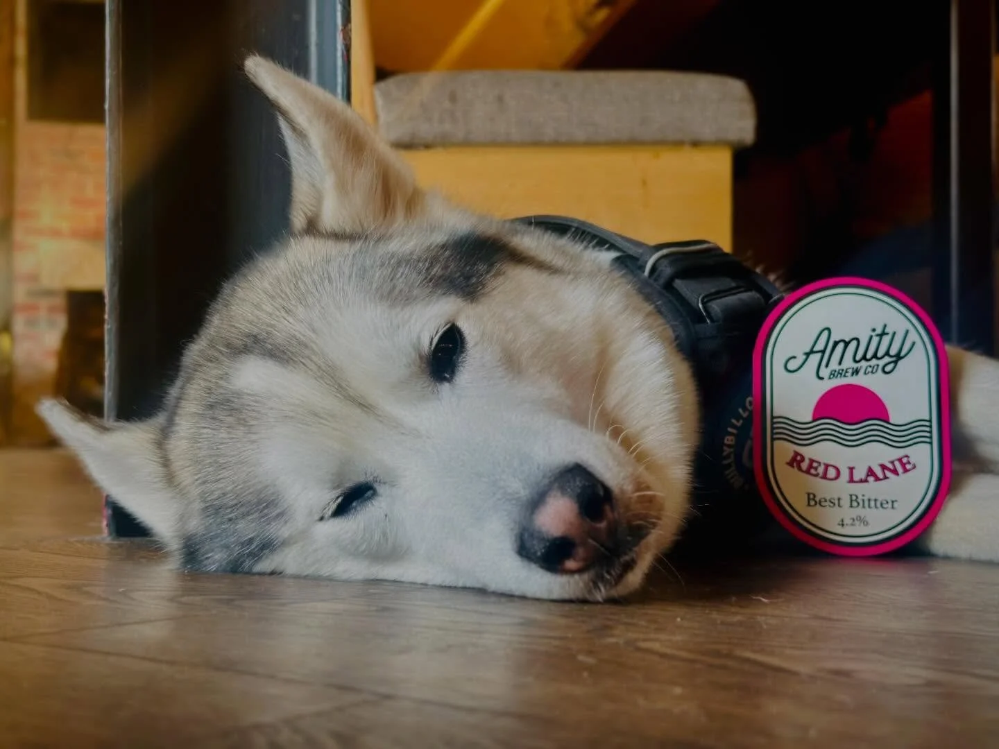 Brighter days are on the way&hellip; and so are &pound;3 pints 🙌

This week we&rsquo;ve got Red Lane Best Bitter from @amitybrewco pouring beautifully &ndash; smooth, malty and the perfect midweek treat 🍻

Spring sunshine (almost) + proper cask ale