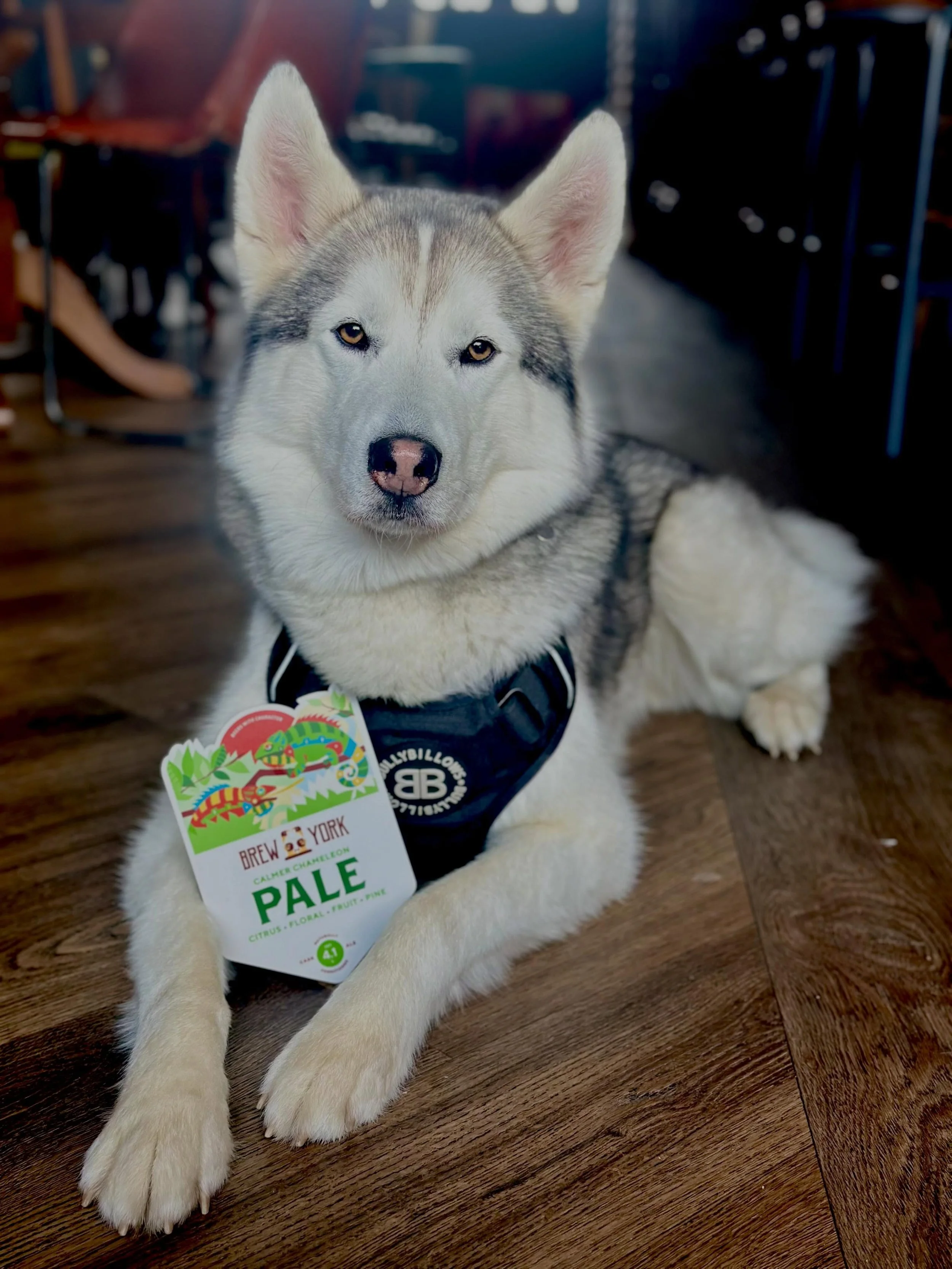 Midweek feeling a little&hellip; meh? 🍻

Wash away the Wednesday blues with &pound;3 pints of cask ale all day long at Reuben&rsquo;s 😃

Fresh on the bar this week - Calmer Chameleon from @brewyorkbeer￼🦎