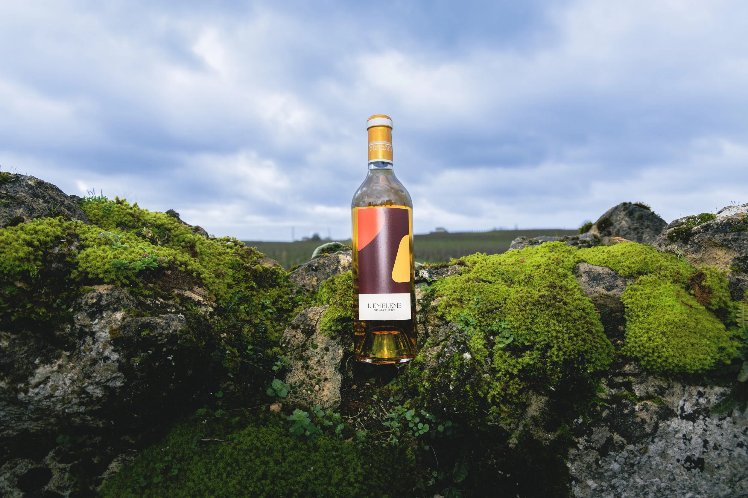 8V1A3142 copie 2.JPG