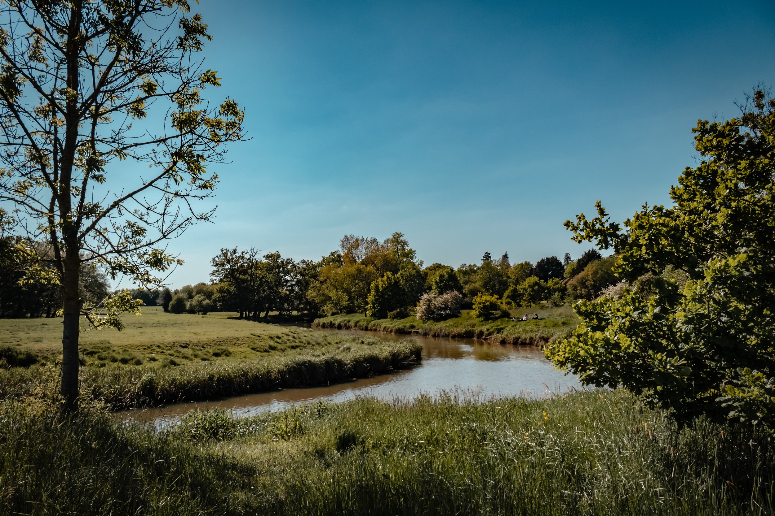 How river walks changed my life.