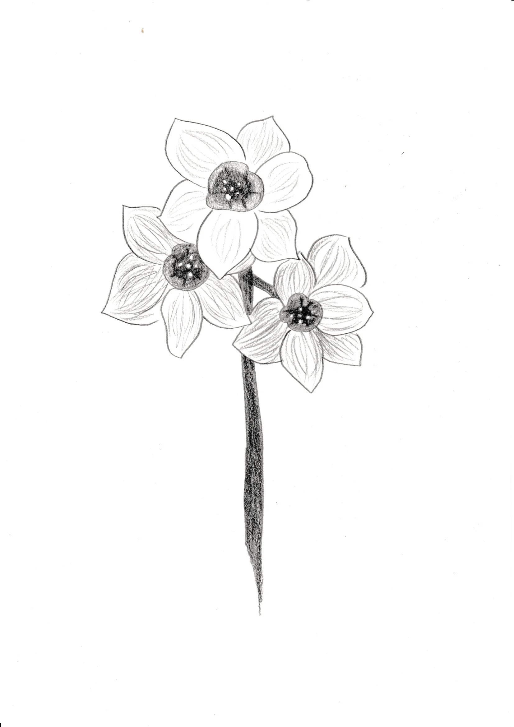 Pencil on paper, 29.7x21cm, 2019.