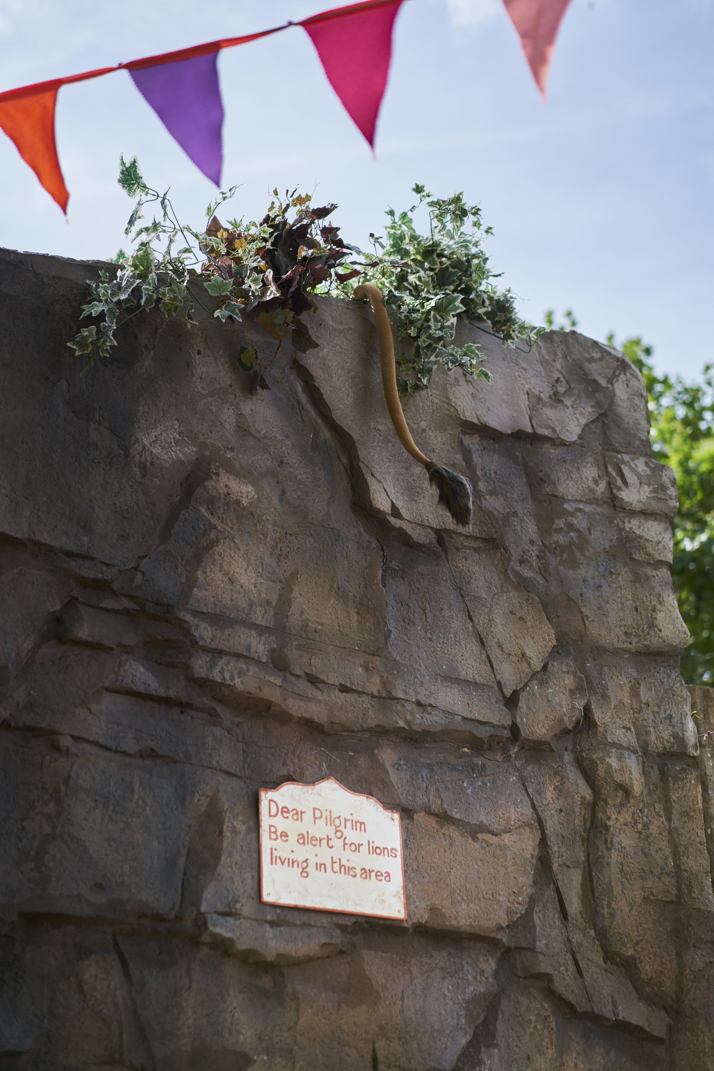 ZSL+Lions-16-218.jpg
