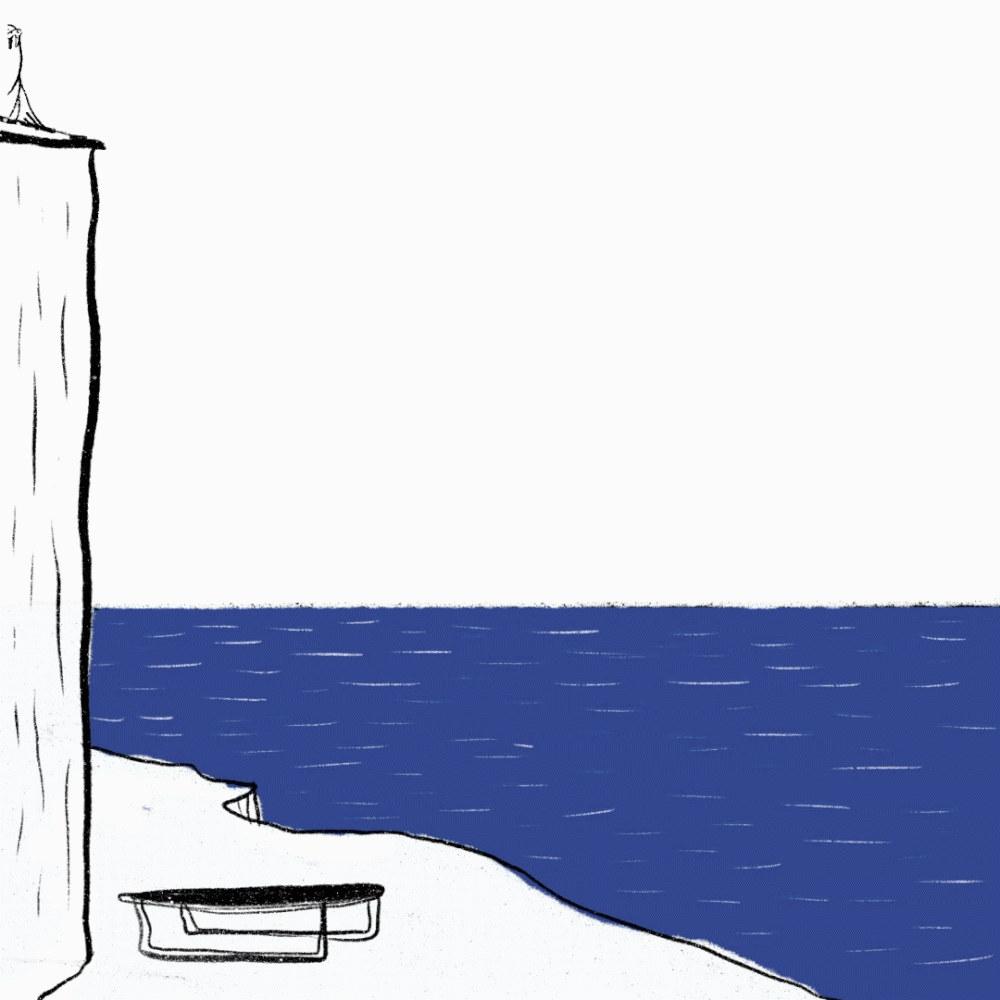 walrus trampoline.gif