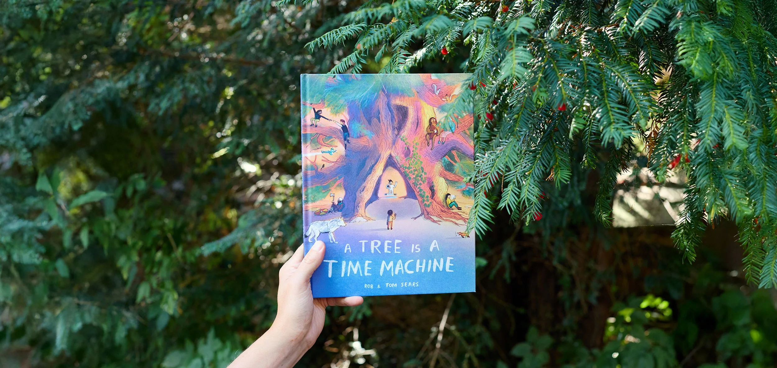 A Tree Is A Time Machine | Hachette