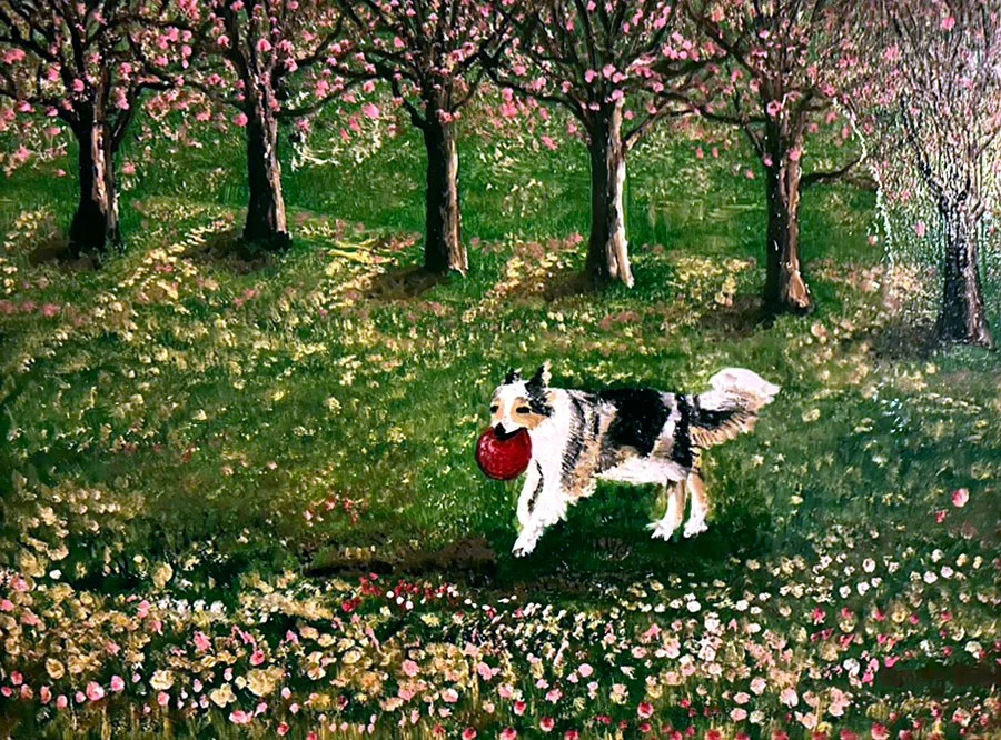 Spring for an Australian shepherd, oil on canvas, 35x55 cm