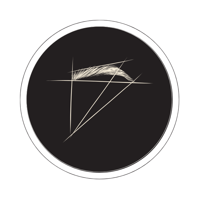 Diagram of a feather with lines indicating measurements and angles.