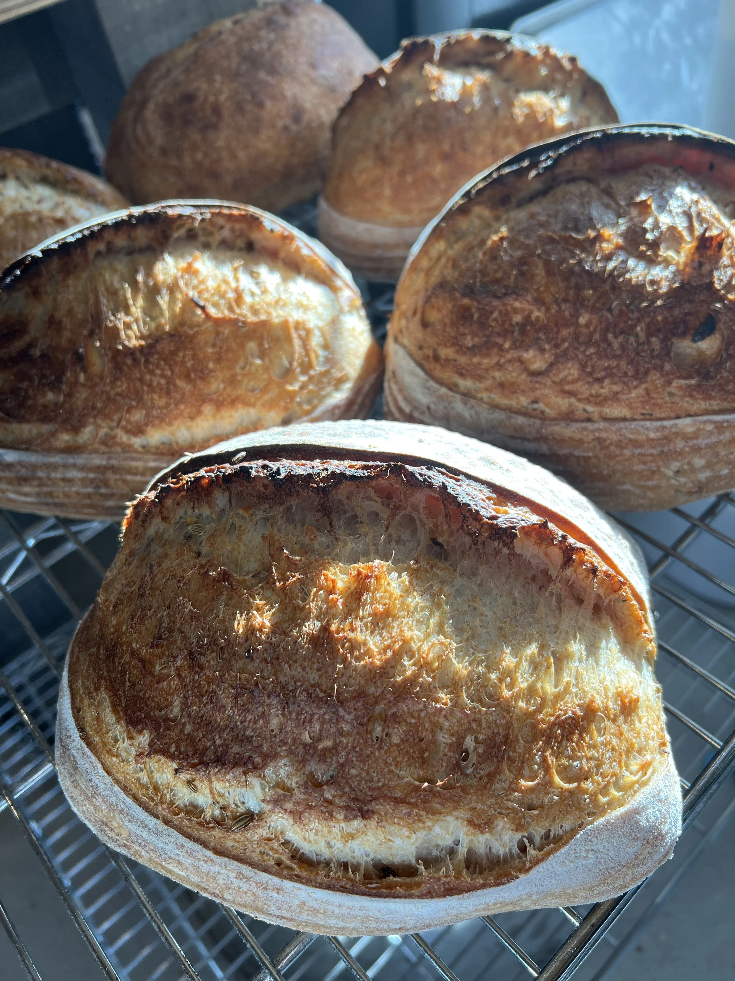 Olive & Herbes de Provence sourdough loaflarge — Soul Kitchen Bakery