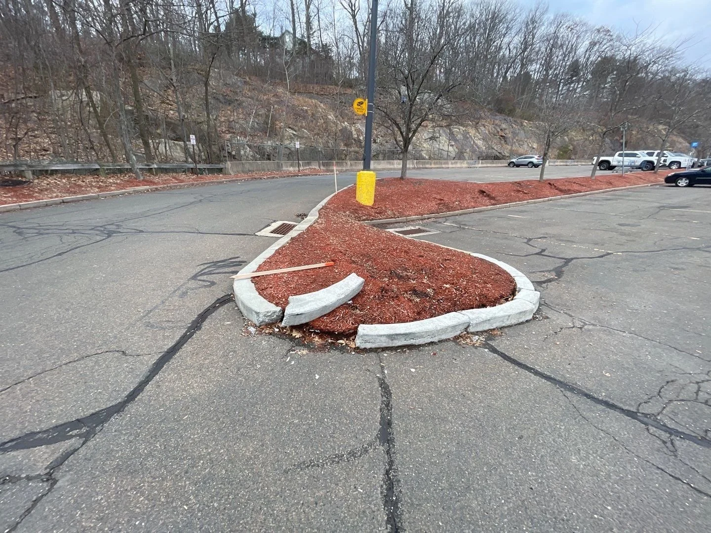 Curbs and Wheel Stops: The Unsung Heroes of Parking Lot Safety and Organization