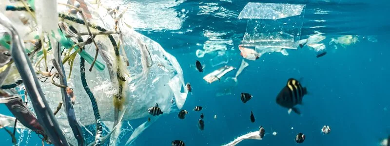 Recycled Ropes :: The Vital Role of Rope Recycling