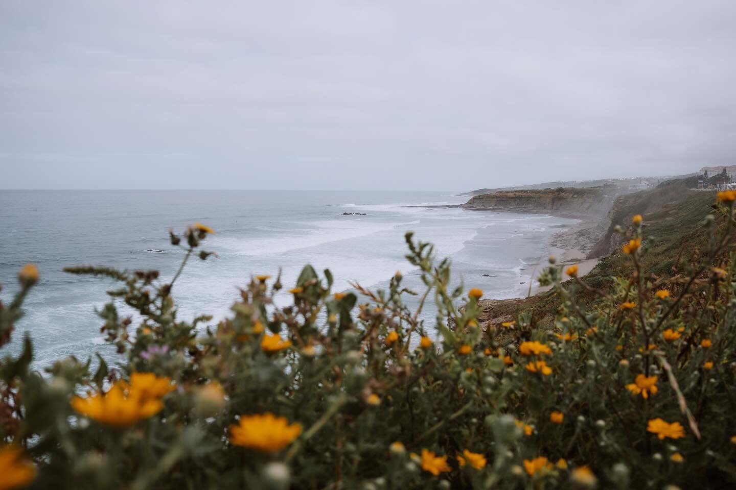 Beautiful Ericeira 🌊🌞