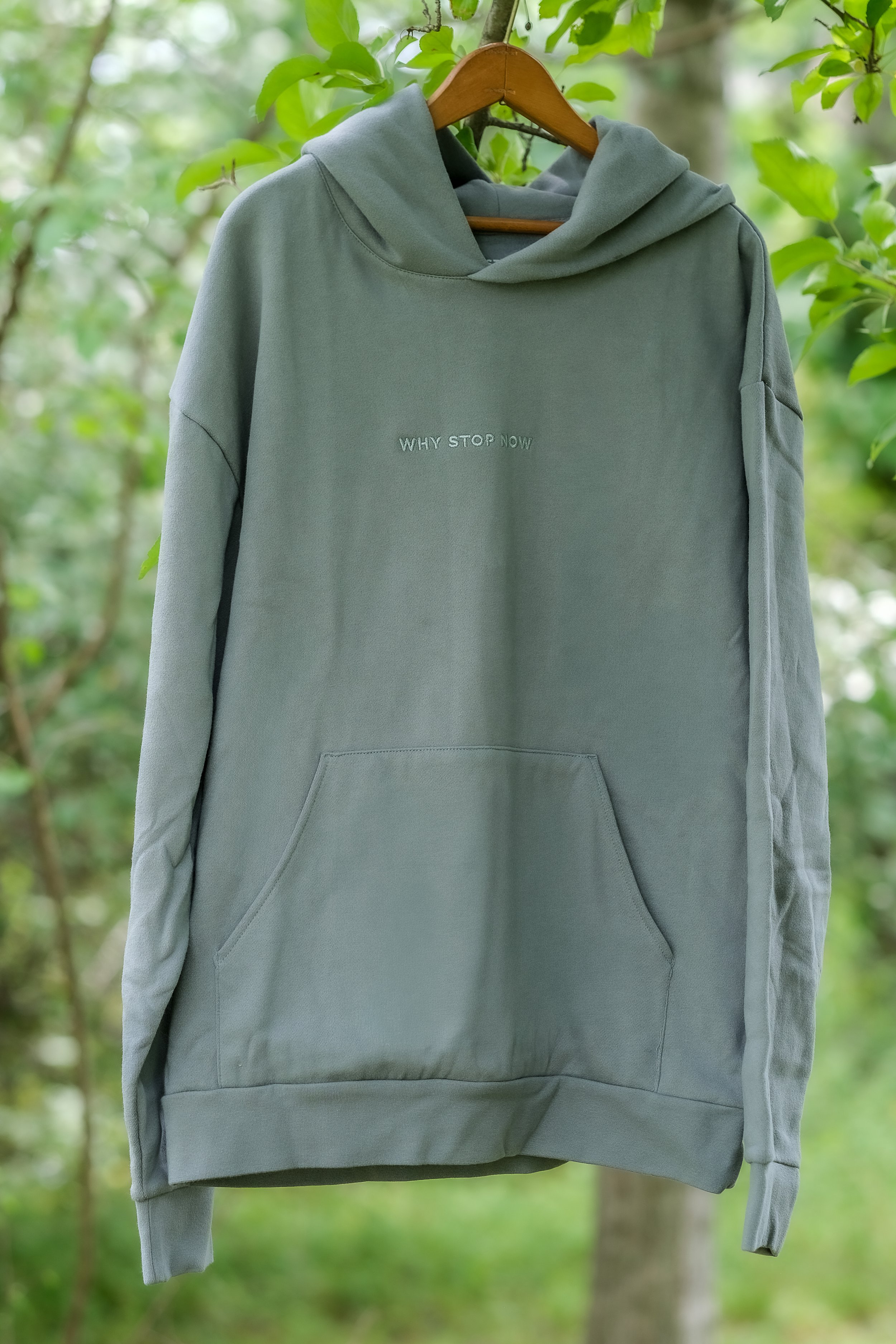 WHY STOP NOW HOODIE