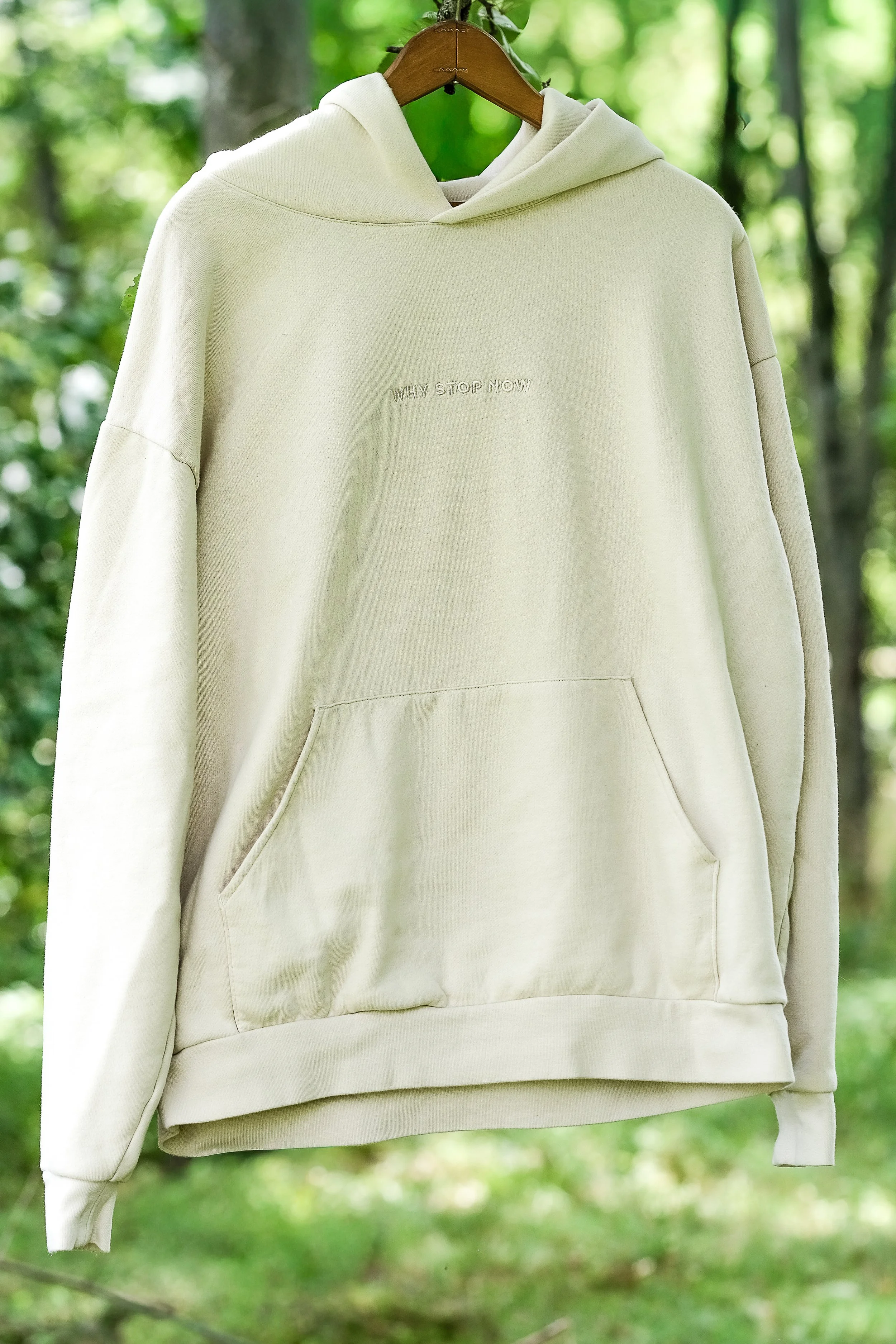 WHY STOP NOW HOODIE