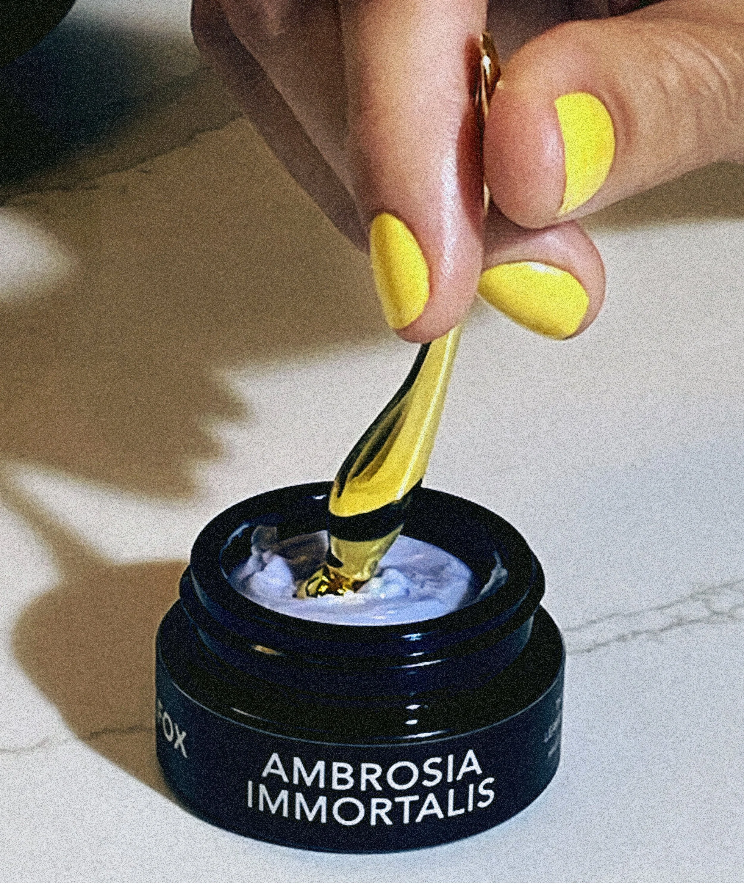 AMBROSIA_yellow copy.jpg