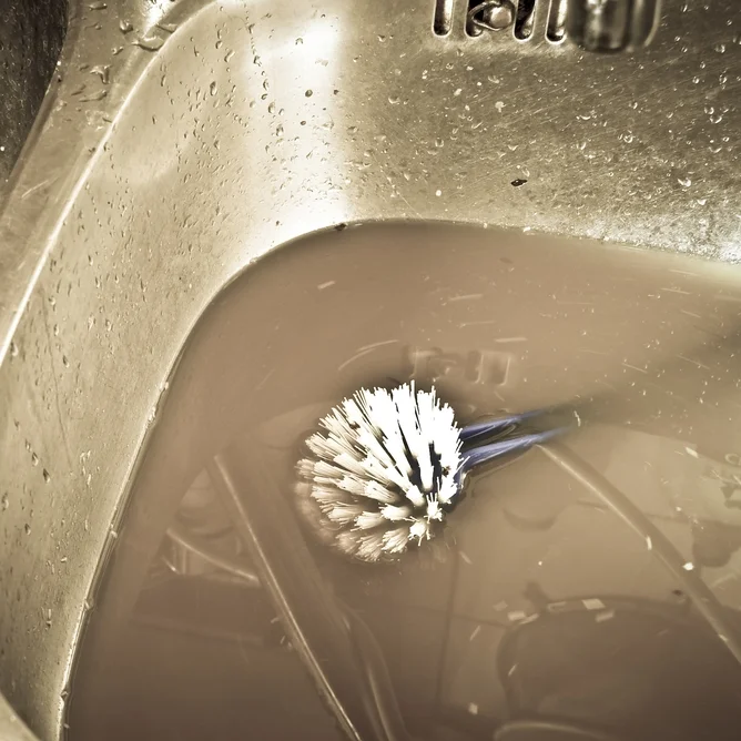 Garbage Disposal Fundamentals