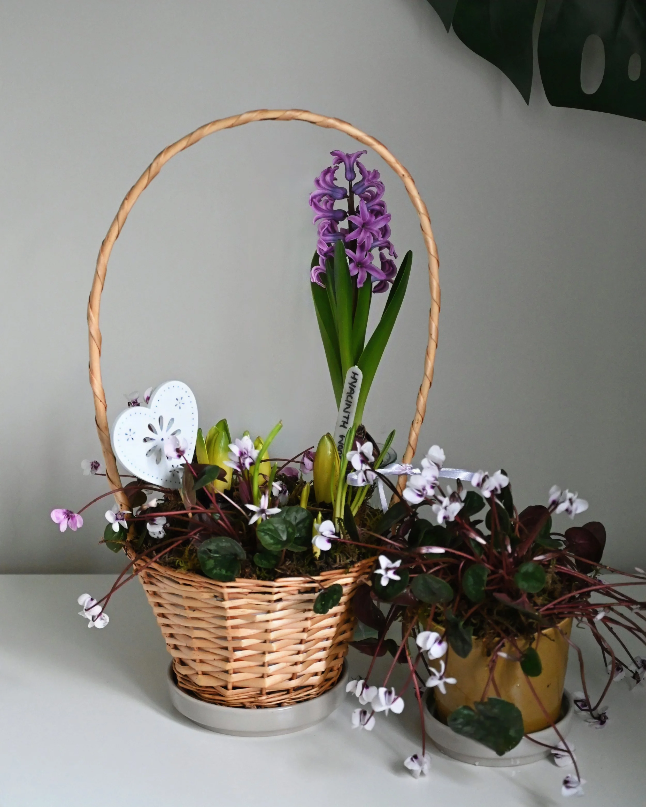 Seasonal Bulb Basket