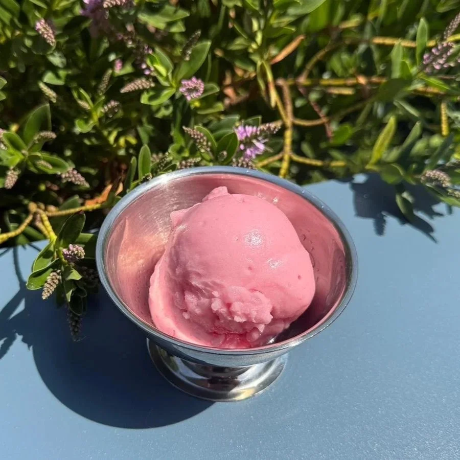 Pink sorbet in a metal cup placed on a blue surface in front of green plants with purple flowers.