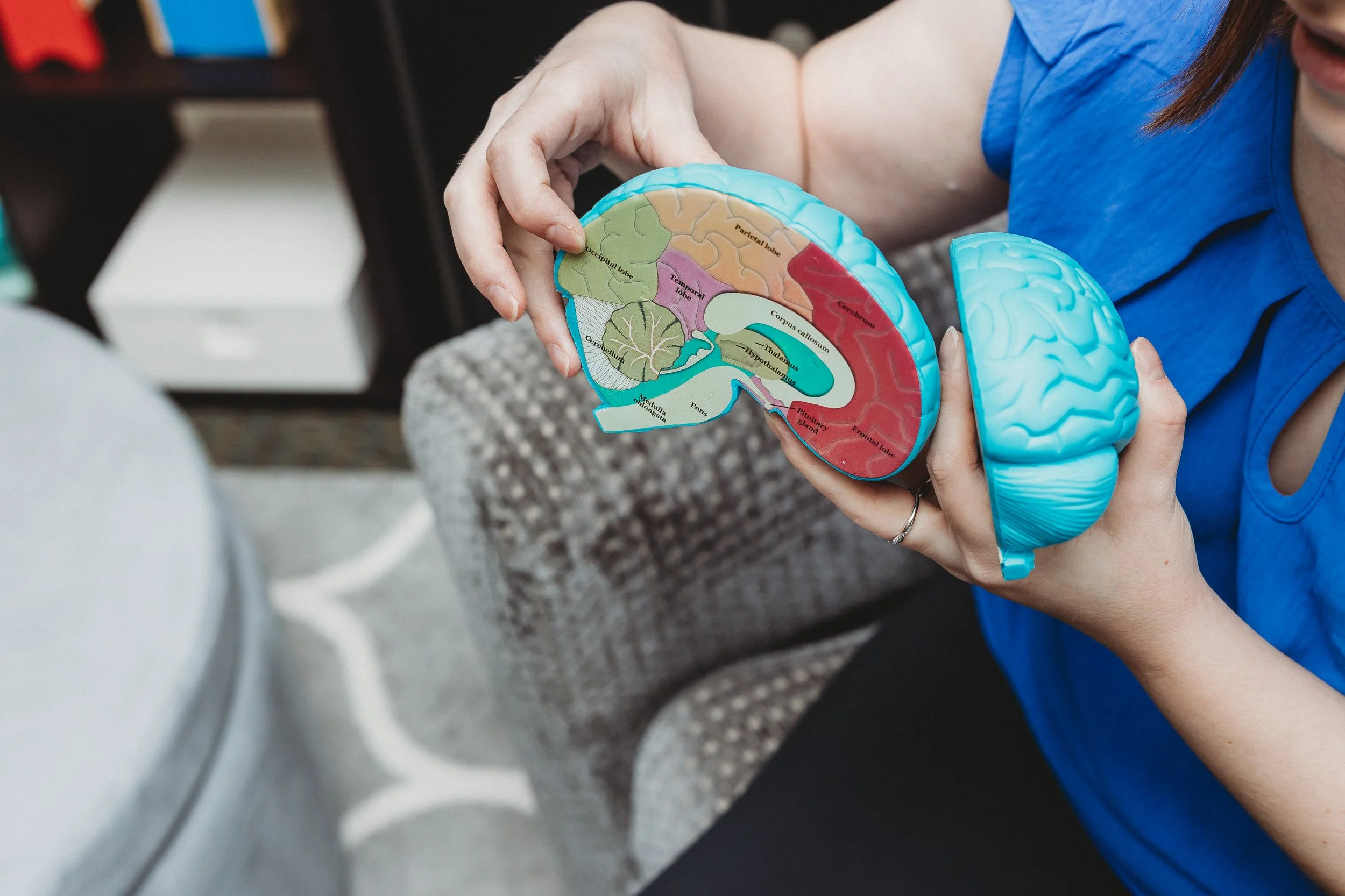 Natalie is pictured showing the parts of a brain