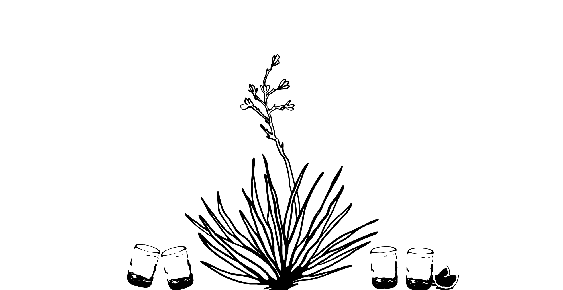 What is mezcal ?!? A Tasting Workshop