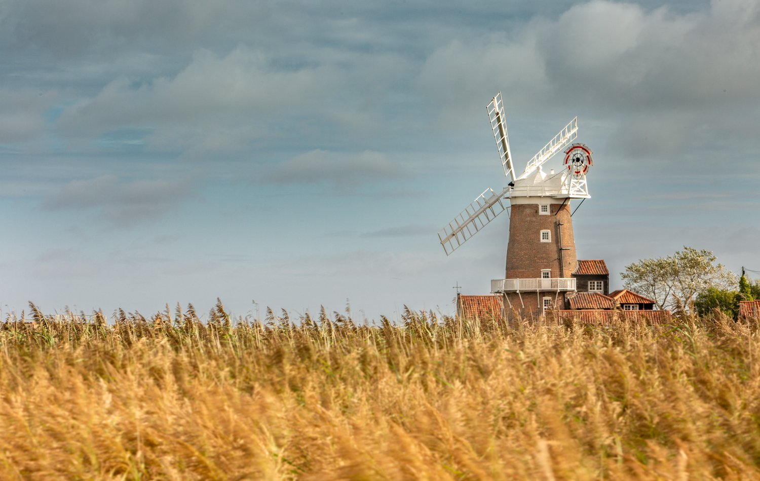 Cley 003 - Through the Reeds.jpg