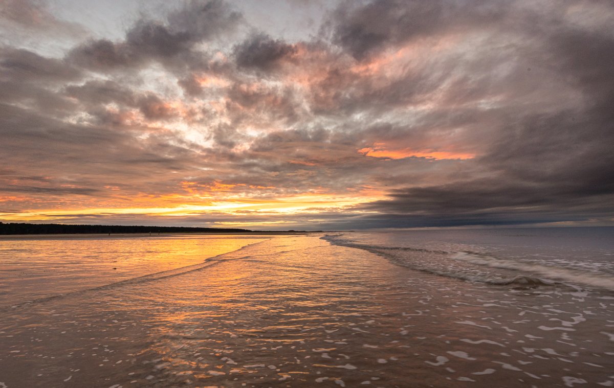 holkham 007.jpg