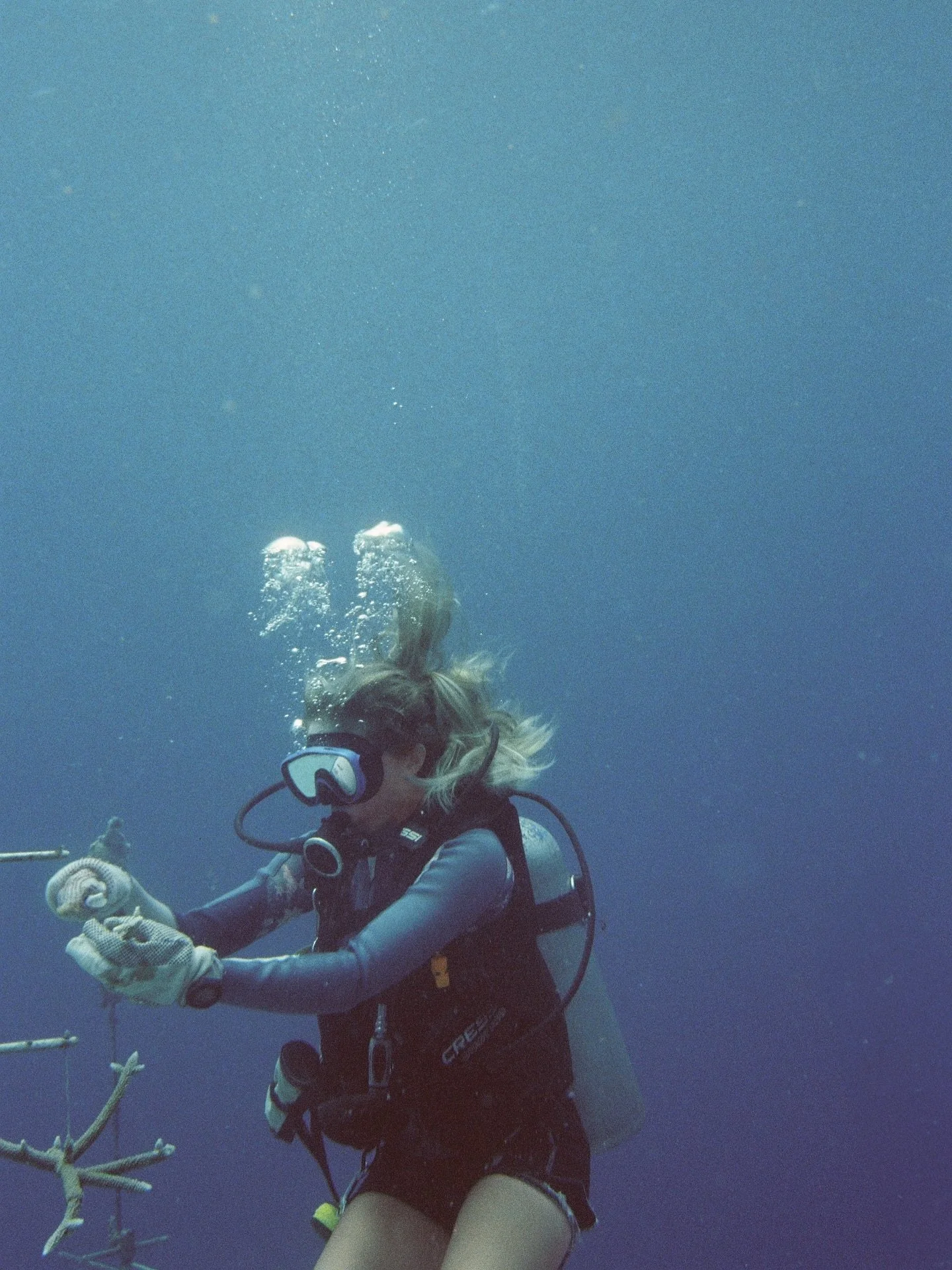 Forever in awe of the work @scubacao is doing in Cura&ccedil;ao to save the coral reefs. 

Thank you for the opportunity @culturemoveseurope @coia.foundation 

#culturemoveseurope #pushboundaries 

(This work was produced with the financial assistanc