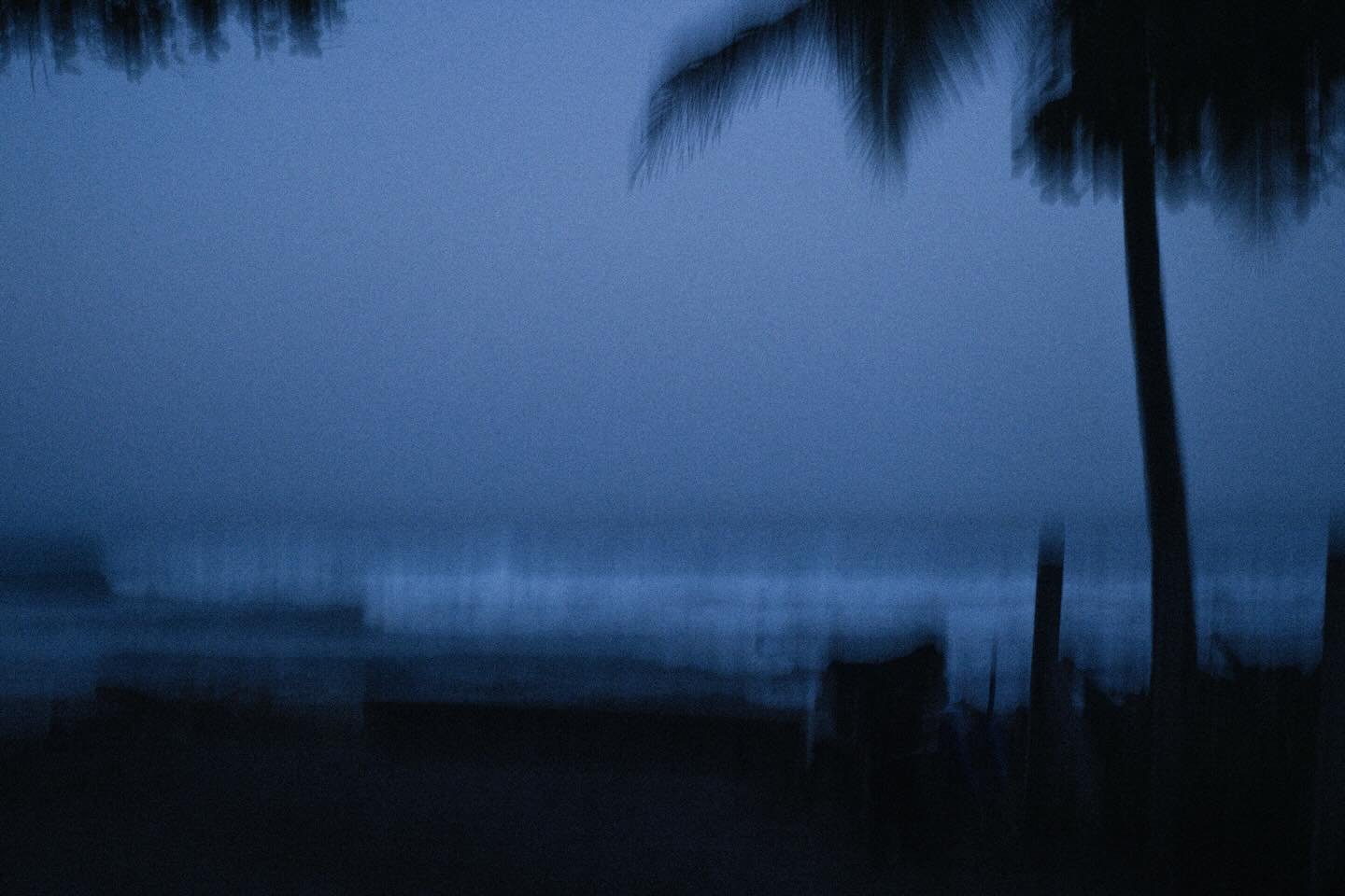 Manifesting lots of blue hour shoots in the new year 🦋💙 

Free postcards of photo 6 available at @saliekortrijk
First photo available for print on my webshop 

Shot with Camille White in Santa Teresa, Costa Rica
