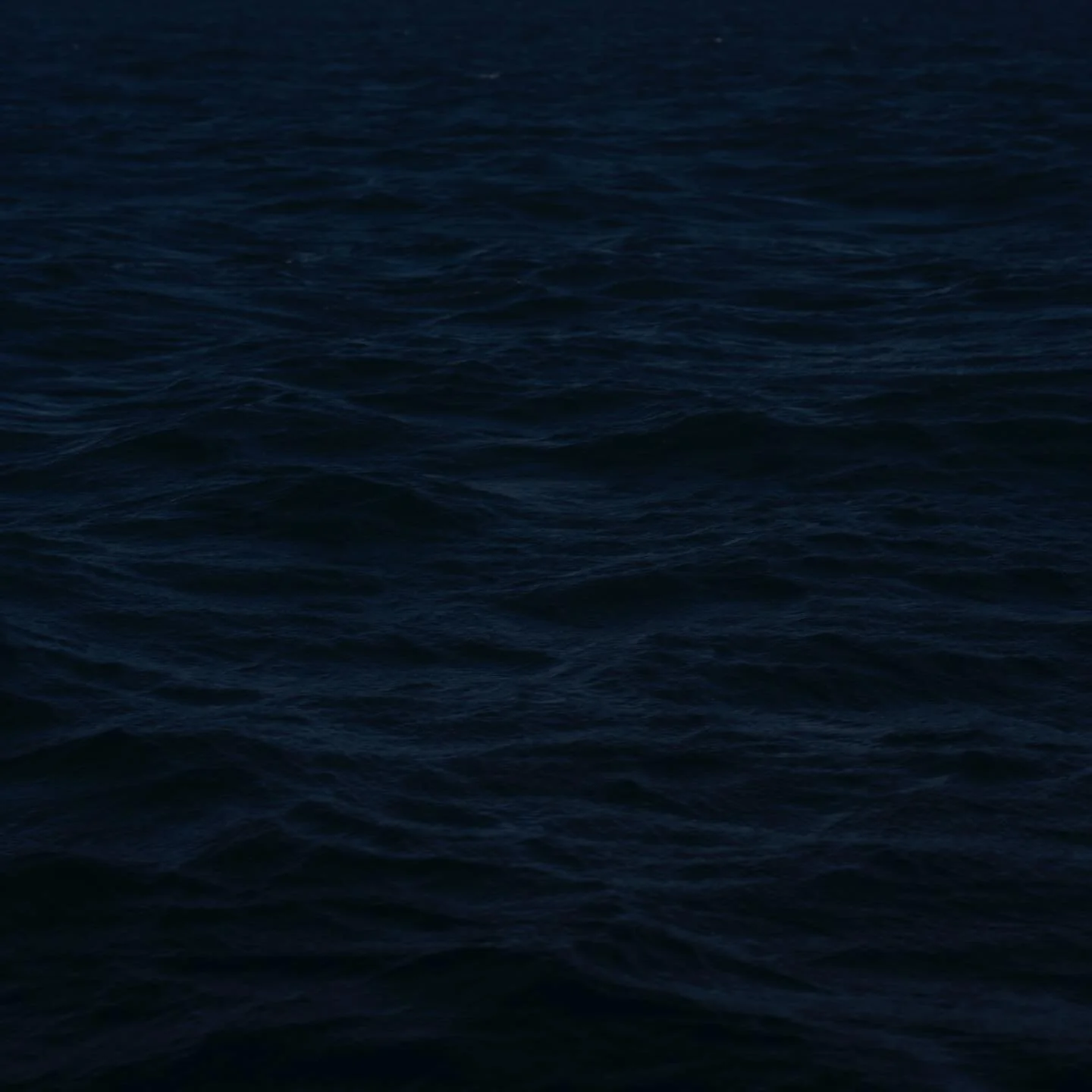 BLAUW

Available for print. 
Sizes 100cm x 100cm, 50cm x 50cm and 30cm x 30cm. 
Limited edition of 5 copies 🦋 

Want to see it hanging on your wall? Check out my print shop. Link in bio 🌀