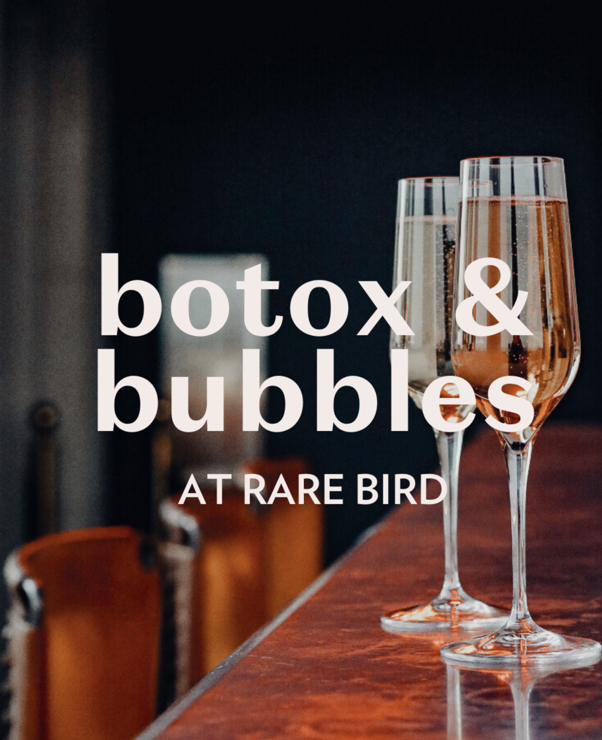 Screenshot 2026-02-10 at 1.47.06 PM.png