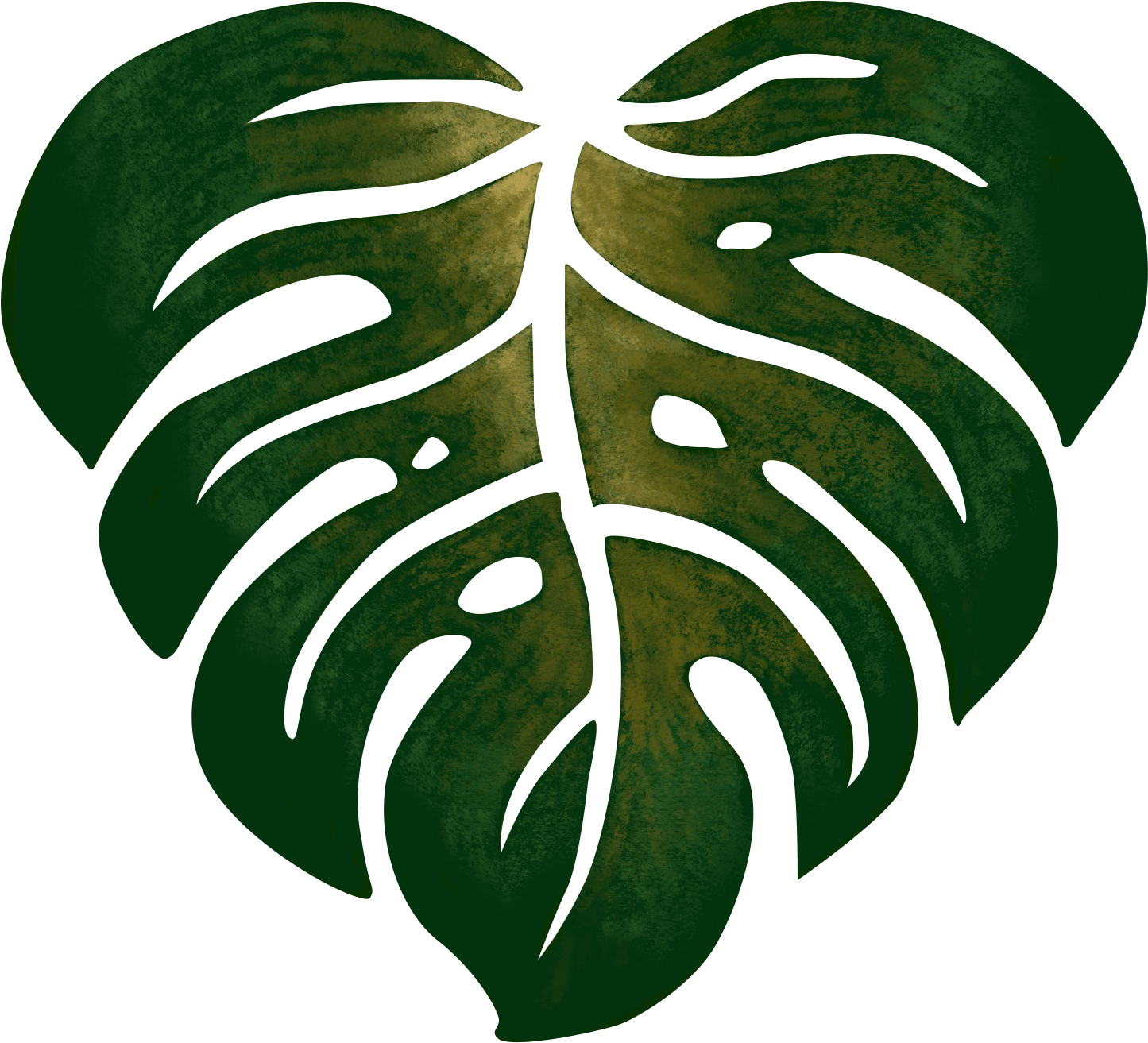 Heart and Soul Experiences