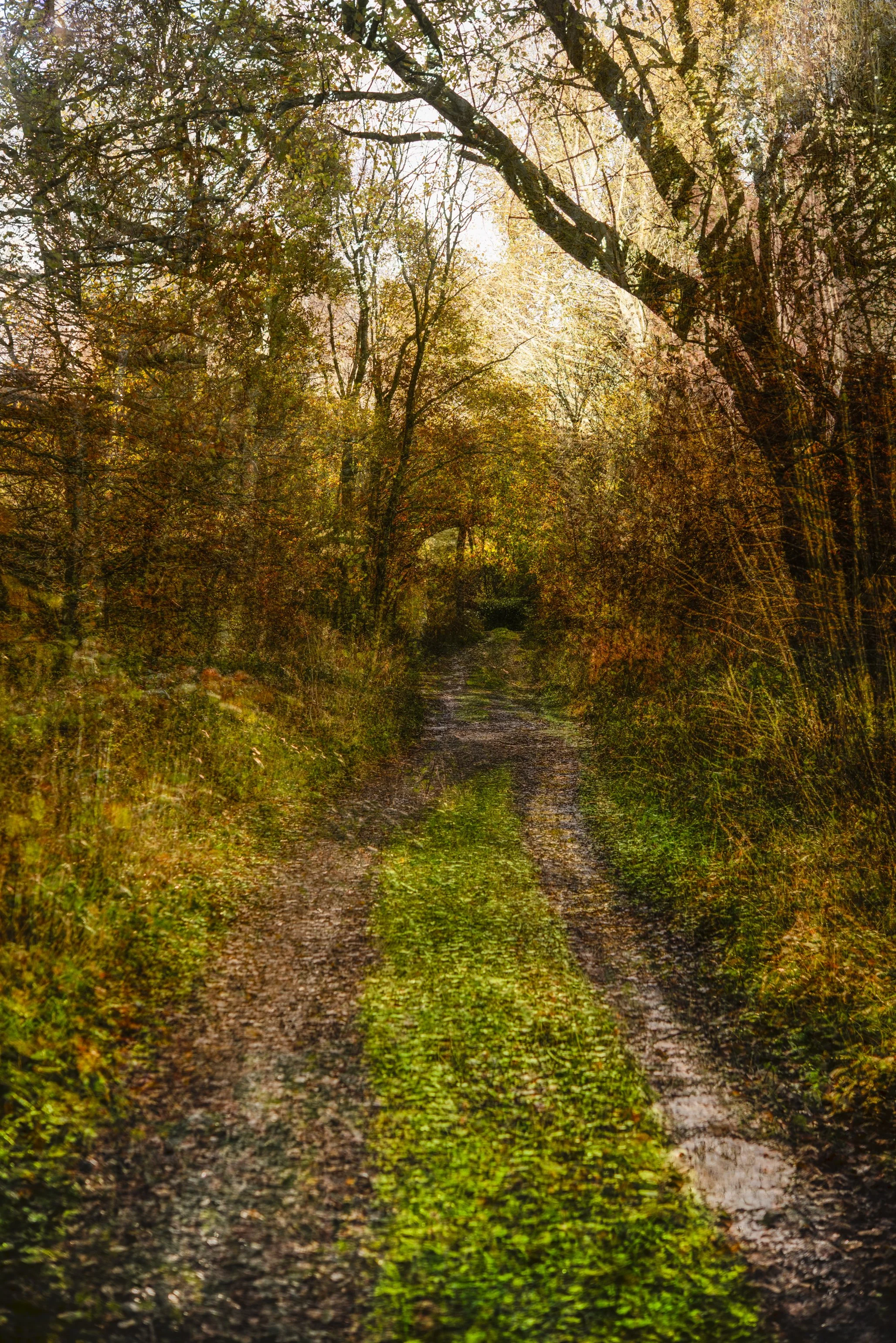 A blended photographic image 