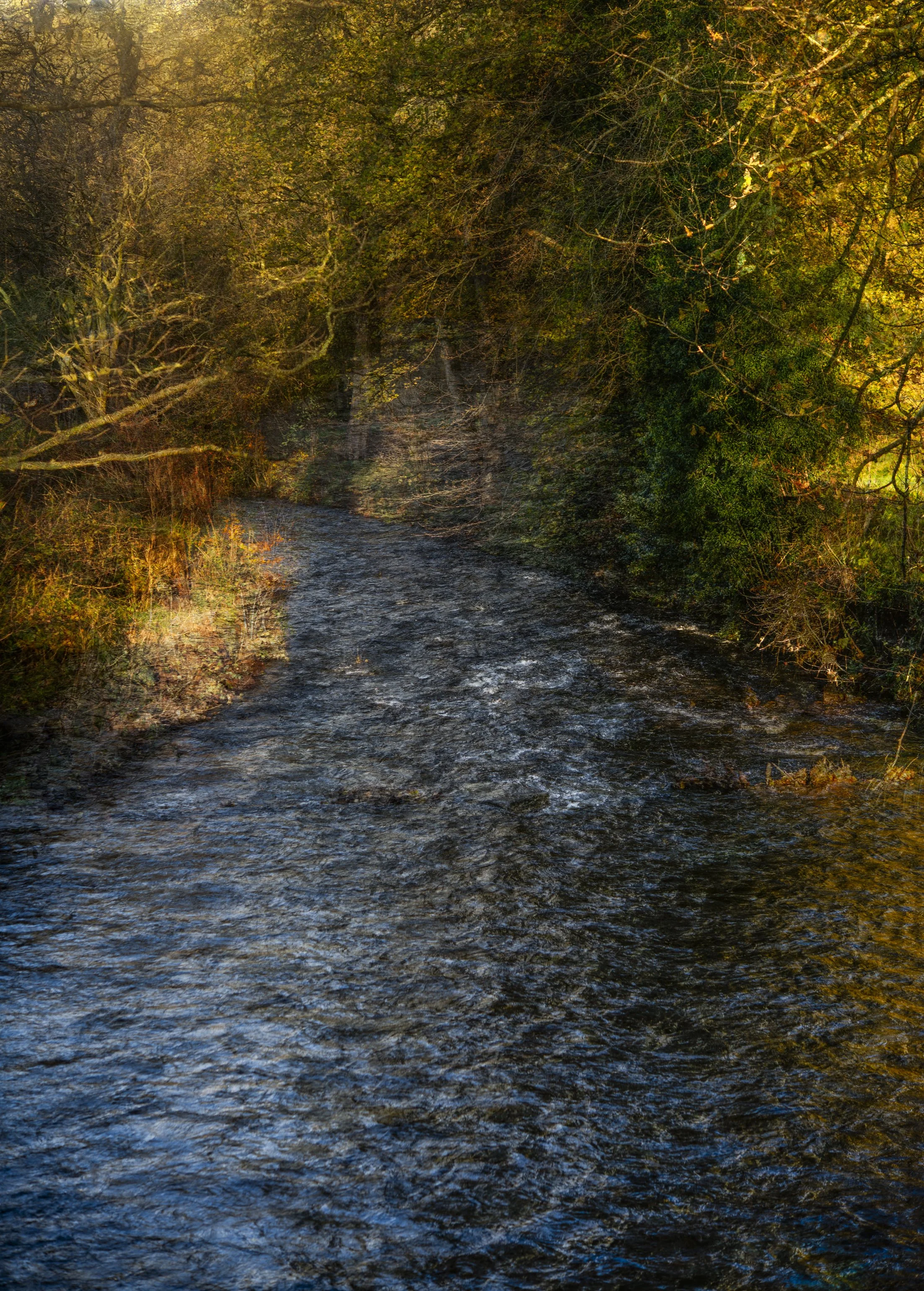 A blended photographic image 