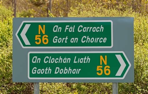 Leave the driving to someone else in Ireland?