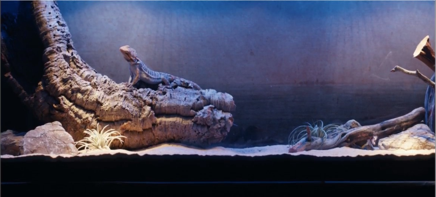 Screen Shot 2025-05-12 at 8.28.10 PM.png