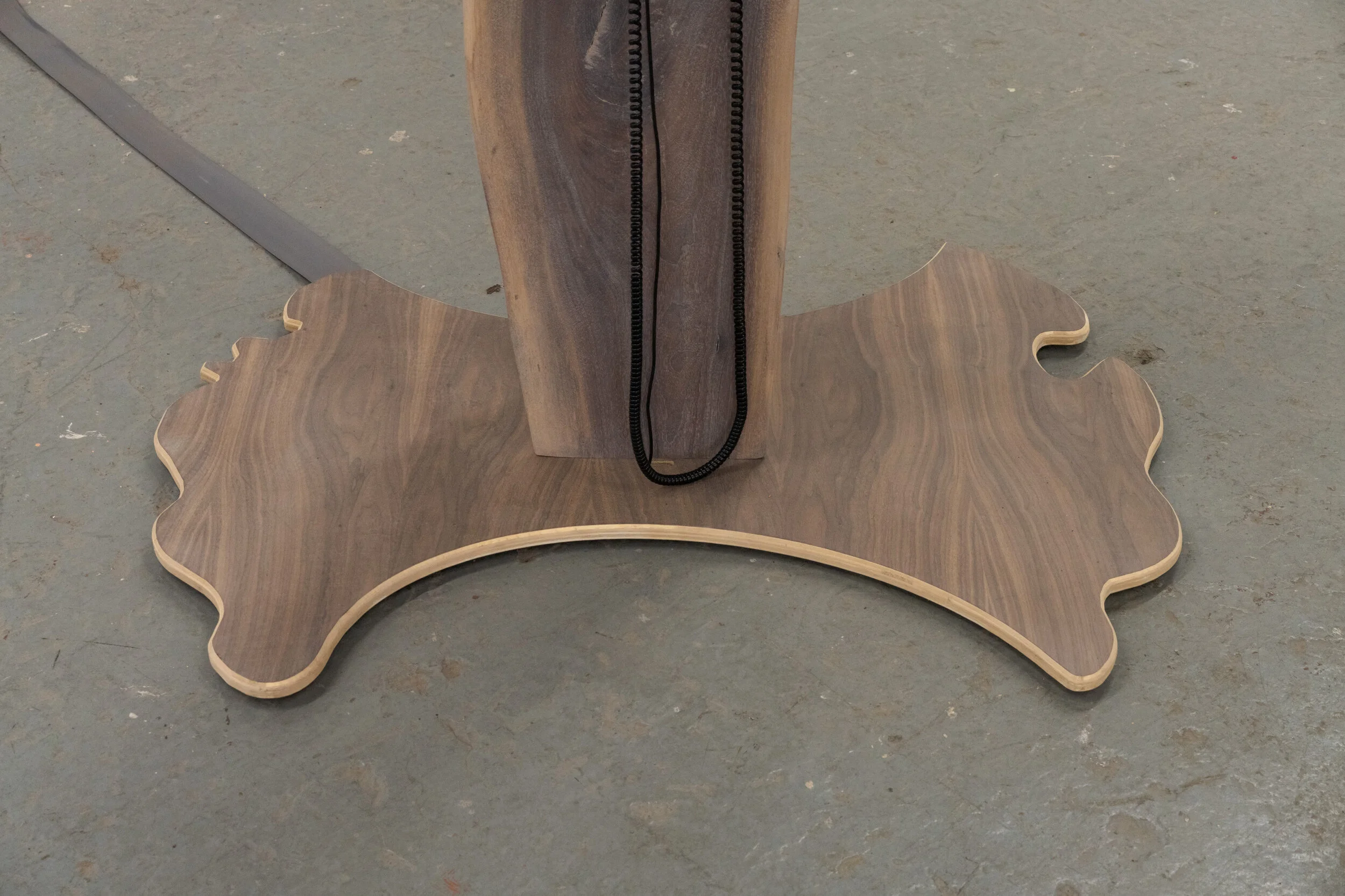  Lex Brown,  Phone Tree I  (detail), 2021. Live edge wood with audio player and 12 tracks of audio pieces. Courtesy of the artist and Deli Gallery. Photo: Nando Alvarez-Perez. 